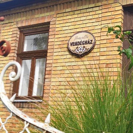 Ferienwohnung Henrietta Vendeghaz Domoszlo Exterior foto