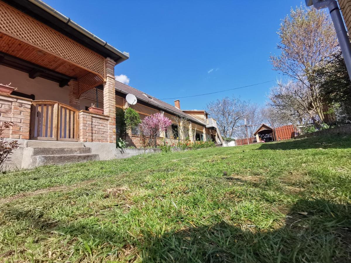 Ferienwohnung Henrietta Vendeghaz Domoszlo Exterior foto