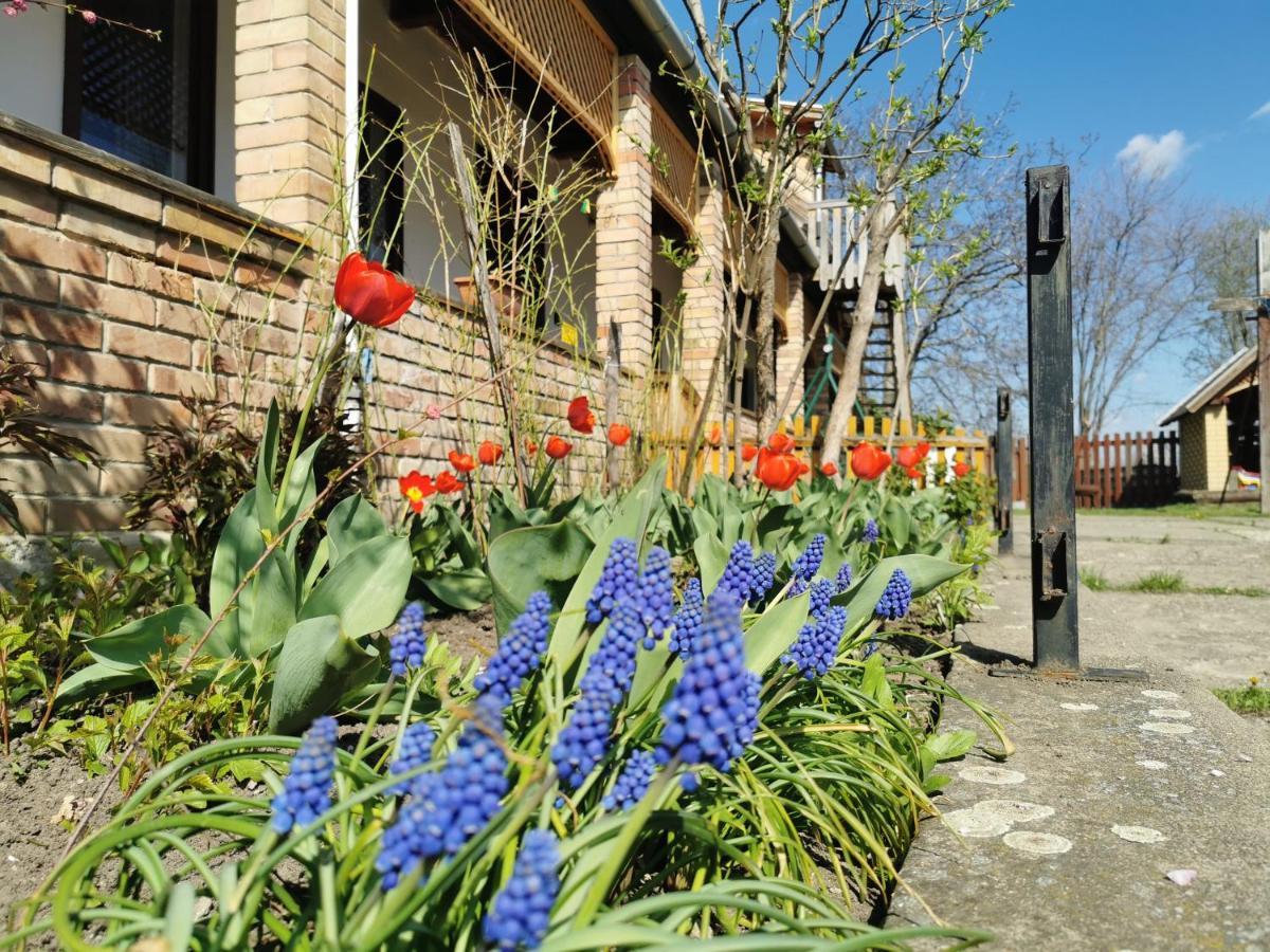 Ferienwohnung Henrietta Vendeghaz Domoszlo Exterior foto